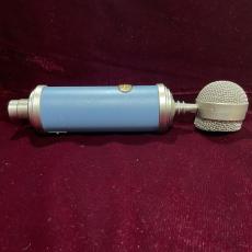 Blue Bluebird_6