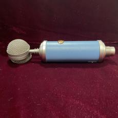 Blue Bluebird_7