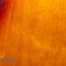 Fender USA American Vintage '62 Jaguar 3CS_10