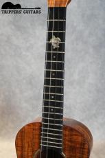 Island Traditions (Pegasus) Tenor Custom (2000年代)_7