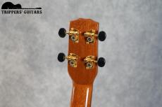 Island Traditions (Pegasus) Tenor Custom (2000年代)_8