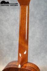 Island Traditions (Pegasus) Tenor Custom (2000年代)_9