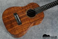 Island Traditions (Pegasus) Tenor Custom (2000年代)_14