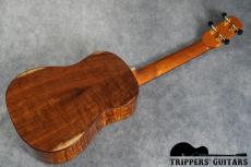 Island Traditions (Pegasus) Tenor Custom (2000年代)_15