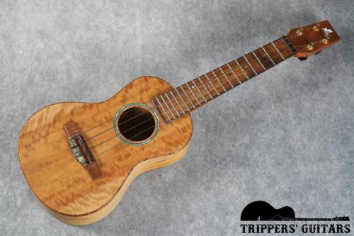 Pegasus Concert Custom (2023)