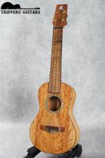 Pegasus Concert Custom (2023)_2