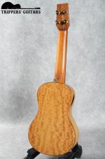 Pegasus Concert Custom (2023)_3