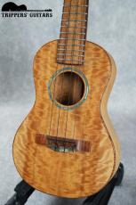 Pegasus Concert Custom (2023)_4