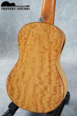 Pegasus Concert Custom (2023)_5