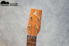 Pegasus Concert Custom (2023)_6