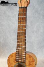 Pegasus Concert Custom (2023)_7