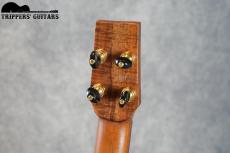 Pegasus Concert Custom (2023)_8