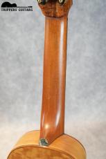 Pegasus Concert Custom (2023)_9