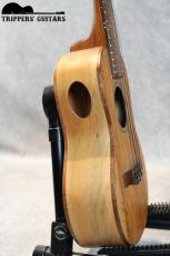 Pegasus Concert Custom (2023)_10