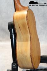 Pegasus Concert Custom (2023)_11