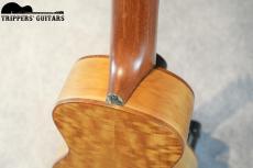 Pegasus Concert Custom (2023)_12