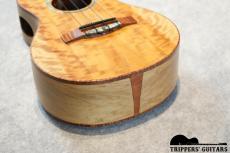 Pegasus Concert Custom (2023)_13