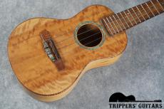 Pegasus Concert Custom (2023)_14