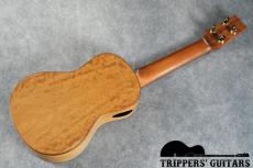 Pegasus Concert Custom (2023)_15