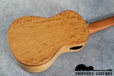 Pegasus Concert Custom (2023)_16