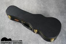 Pegasus Concert Custom (2023)_17