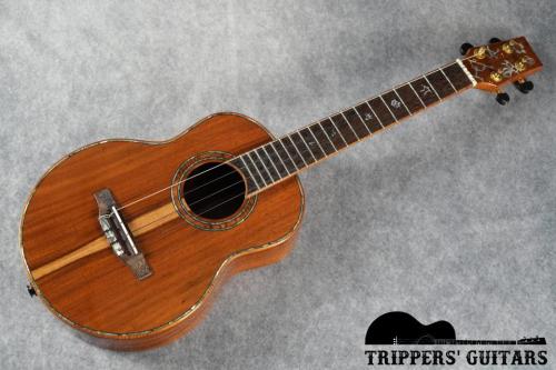 Pegasus Tenor Custom (2014)