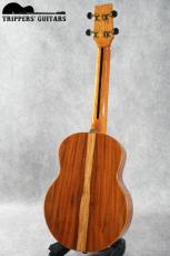 Pegasus Tenor Custom (2014)_3