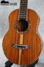 Pegasus Tenor Custom (2014)_4