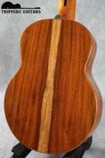 Pegasus Tenor Custom (2014)_5