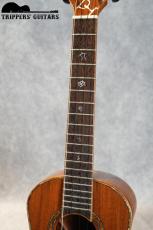 Pegasus Tenor Custom (2014)_7