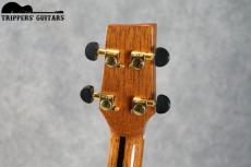 Pegasus Tenor Custom (2014)_8