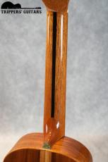 Pegasus Tenor Custom (2014)_9
