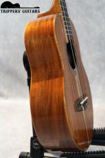 Pegasus Tenor Custom (2014)_10