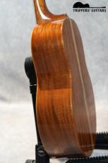 Pegasus Tenor Custom (2014)_11