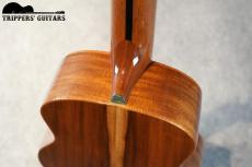 Pegasus Tenor Custom (2014)_12