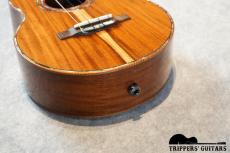 Pegasus Tenor Custom (2014)_13