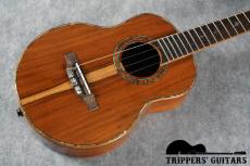 Pegasus Tenor Custom (2014)_14