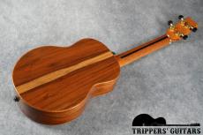 Pegasus Tenor Custom (2014)_15