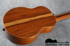 Pegasus Tenor Custom (2014)_16