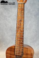 Pegasus Tenor Custom (2019)_7