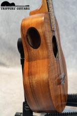 Pegasus Tenor Custom (2019)_10