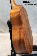 Pegasus Tenor Custom (2019)_11