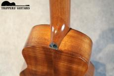 Pegasus Tenor Custom (2019)_12