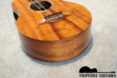 Pegasus Tenor Custom (2019)_13