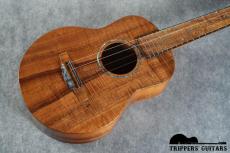 Pegasus Tenor Custom (2019)_14