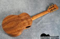 Pegasus Tenor Custom (2019)_15