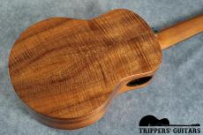 Pegasus Tenor Custom (2019)_16