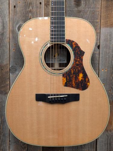 Morris FE-101 【モリダイラ楽器 特選モデル】