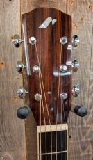 Morris FE-101 【モリダイラ楽器 特選モデル】_5