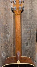 Morris FE-101 【モリダイラ楽器 特選モデル】_8